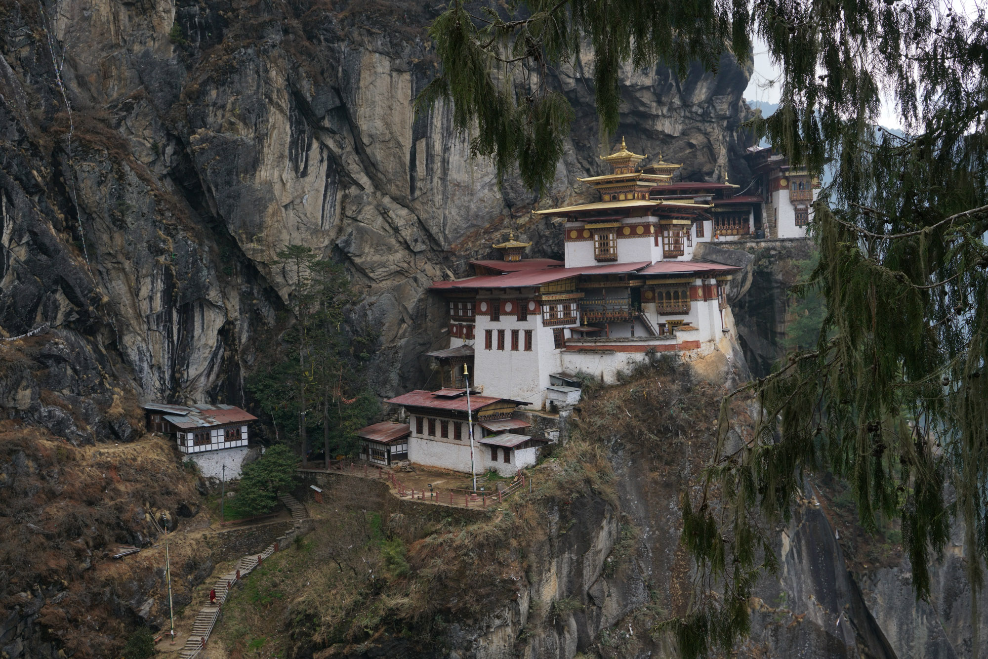 March24-2017-Bhutan_-6062017MichelleEdmunds105untitledshoot