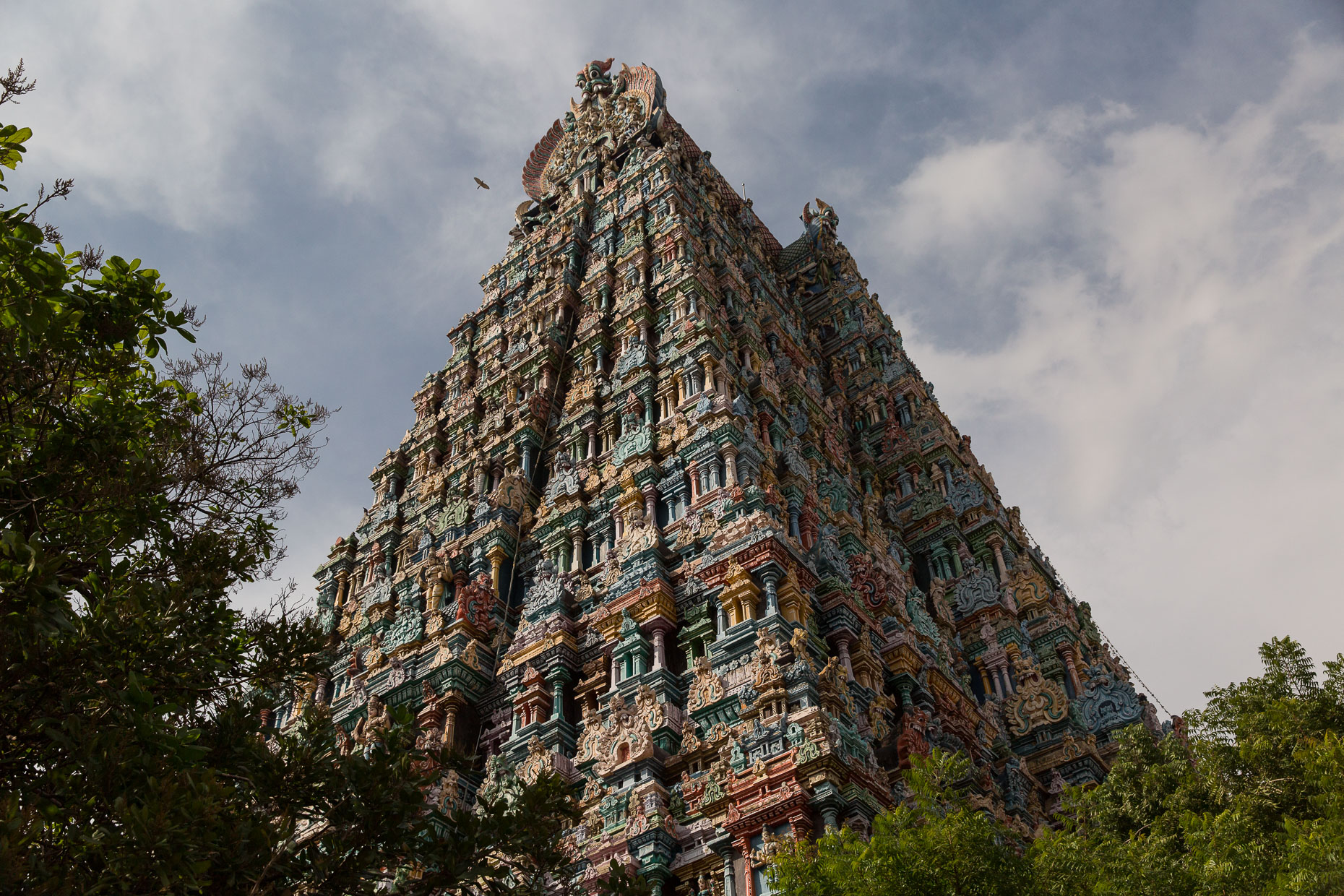 Tamil_Nadu_-1035